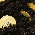 Bitcoin coins in soil image