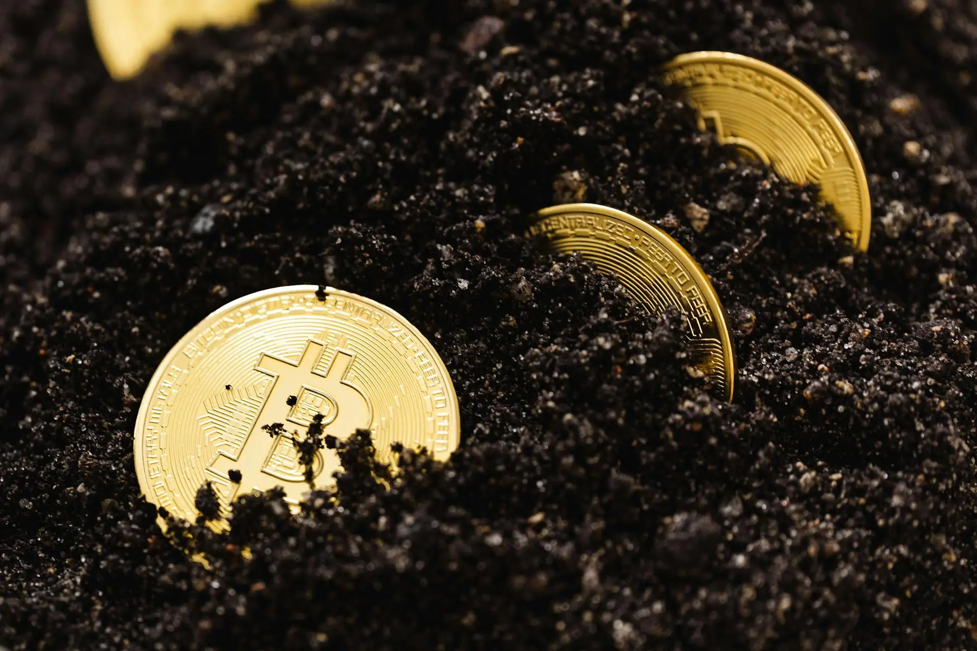 Bitcoin coins in soil image